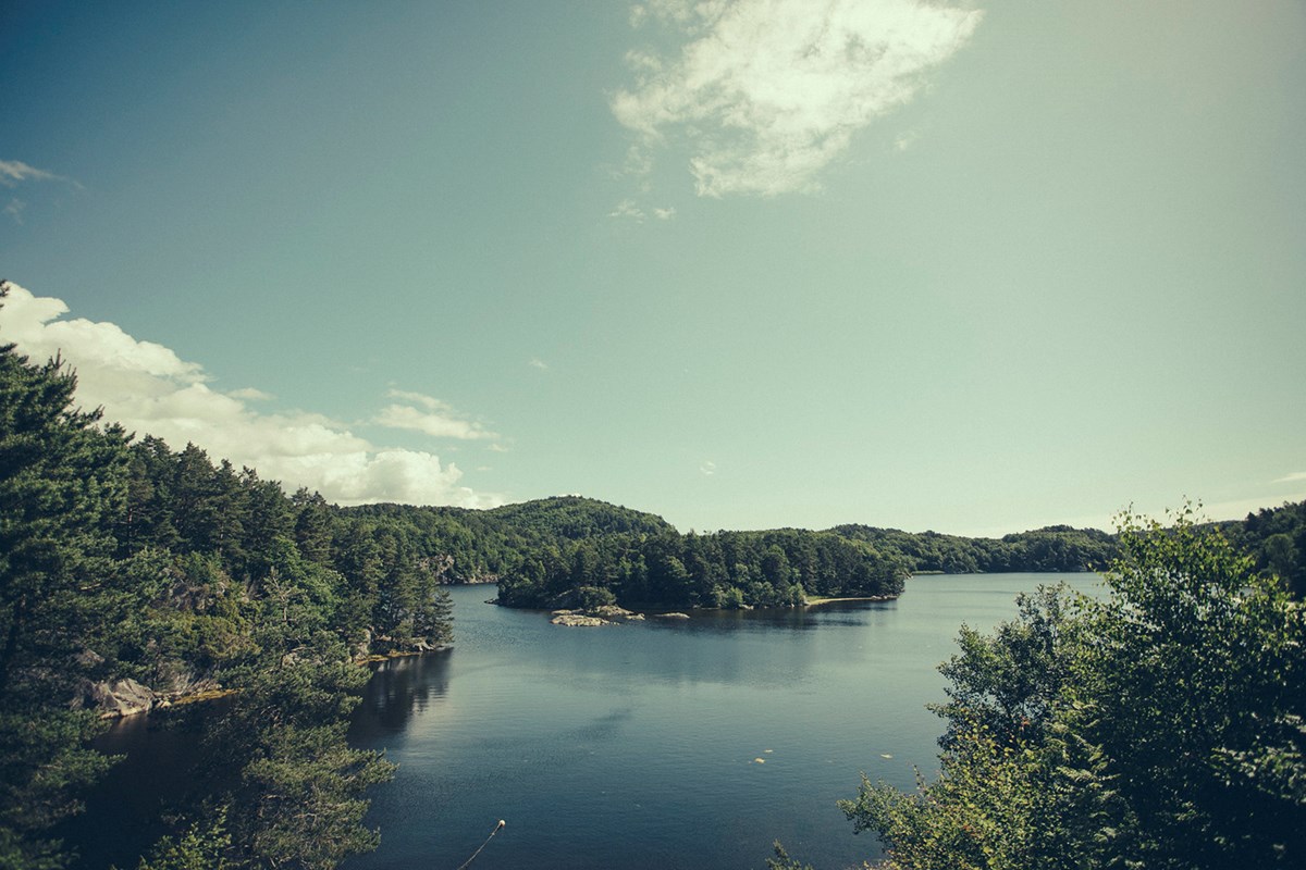 Drangsvann grenser til Nedre Timenes naturreservat
